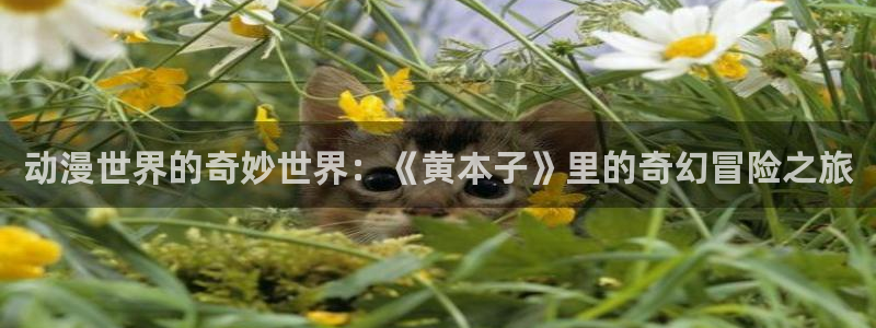 动漫共和国免费版：动漫世界的奇妙世界：《黄本子》里的奇幻冒险之旅