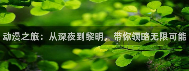 动漫共和国最新下载：动漫之旅：从深夜到黎明，带你领略无限可能