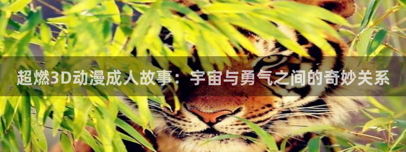 动漫共和国动漫官网下载：超燃3D动漫成人故事：宇宙与勇气之间的奇妙关系
